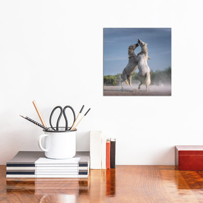 White Angels Of Camargue XXI by Daniel Kordan - Wrapped Canvas Print