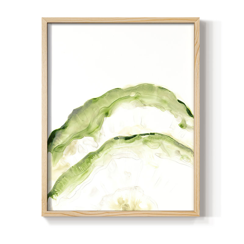Reproduction encadrée Lichen Halo II - bois massif, H 21 po x l 17 po