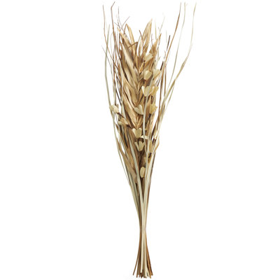 Isadore Landscape & Nature Vase Filler