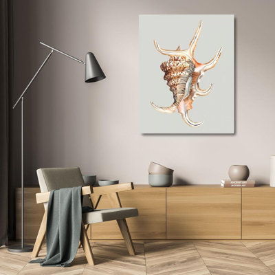 Dovecove Willett, Michael Gallery Wrapped Canvas Art Titled: Spider Conch