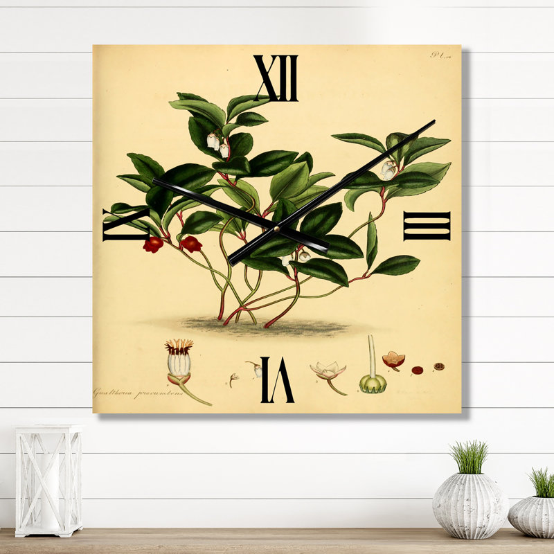 Vintage Plant Life III - Horloge murale traditionnelle, Petit