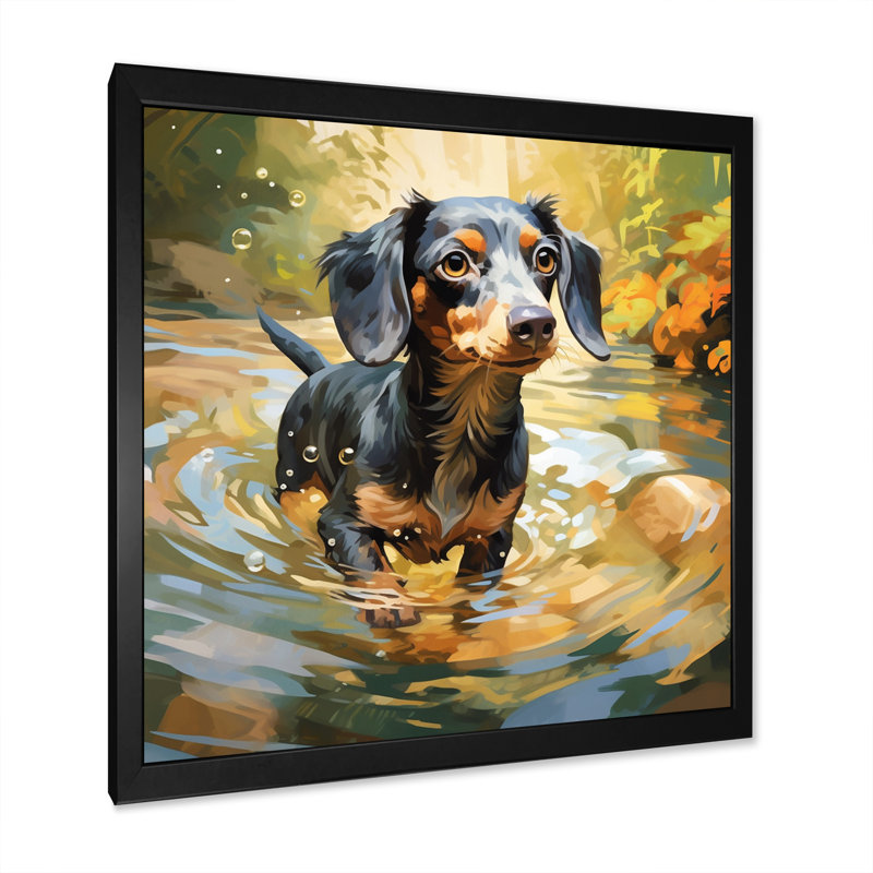 Mignon teckel jouant dans la rivière I sur toile, H 24 po x l 24 po x P 1 po, Cadre simple noir