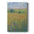 Wildflower Path I -Custom Wrapped Gallery Cavas