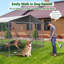 Enclos pour chien-88376466