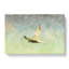 Flying Bird - Wrapped Canvas-61854947