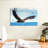 Eagle In Flight-70241516