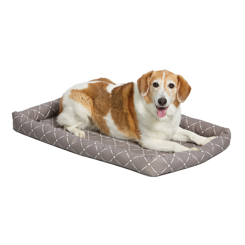 Lit pour animal de compagnie avec traversin QuietTime Couture, l 35,75 po x p 21 po x H 4 po, Champignon