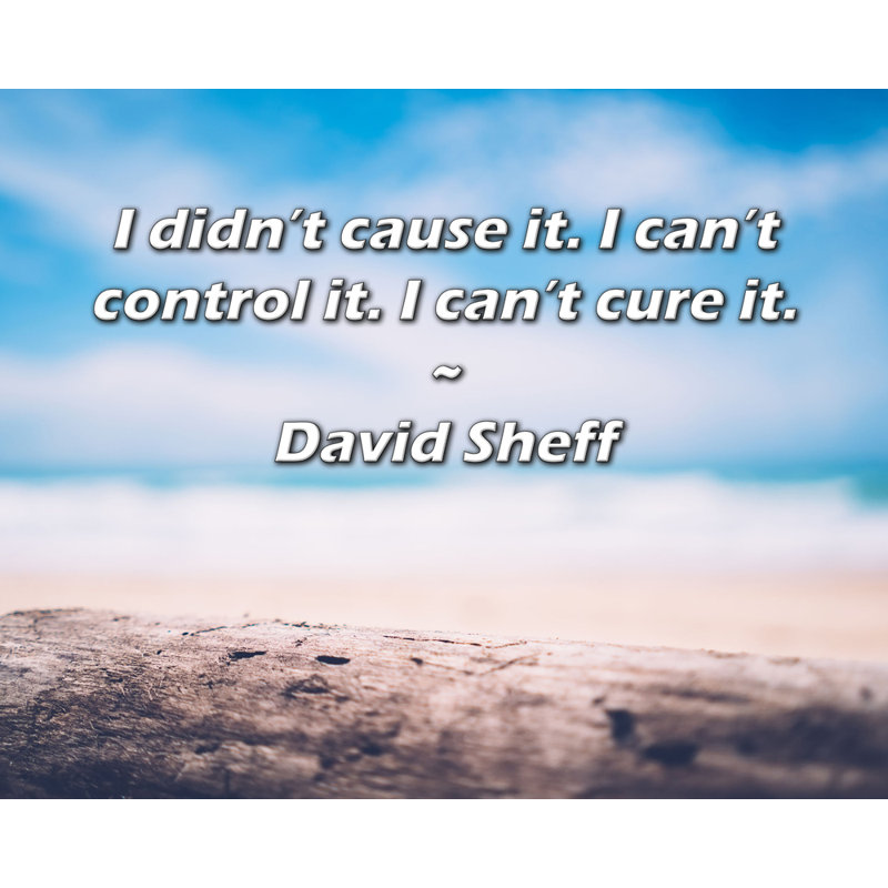 Dovecove Gallery Wrapped Canvas By David Sheff: "I didn’t cause it. I can’t control it. I can’t, 17" H x 24" W