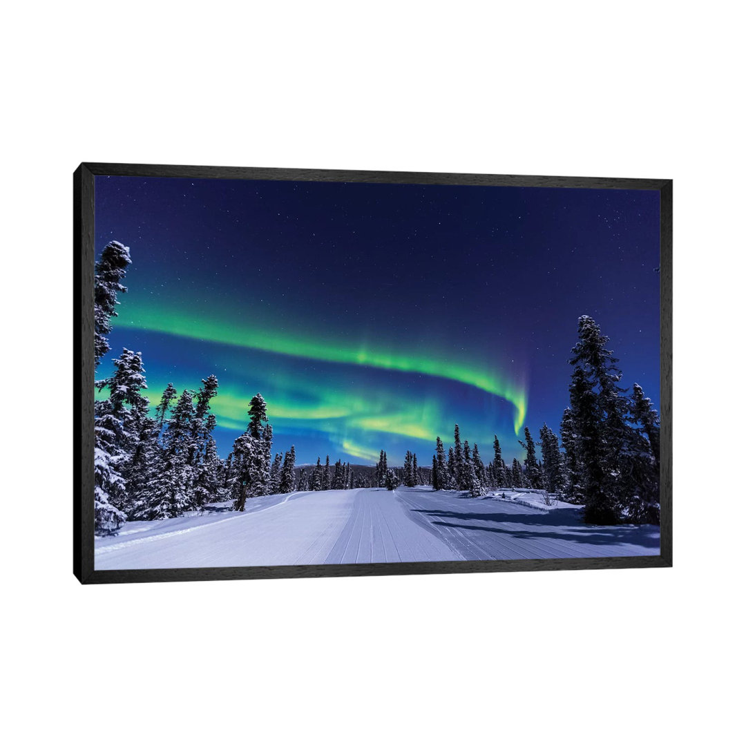 Aurora Borealis, Northern Lights Near Fairbanks, Alaska I by Stuart Westmorland - Graphic Art Print on Canvas