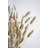 Palm Arrangement