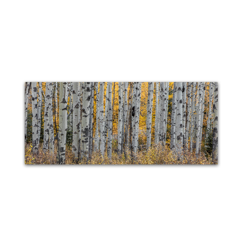 « aspen trees », reproduction de photo sur toile tendue, H 10 po x l 24 po x P 2 po