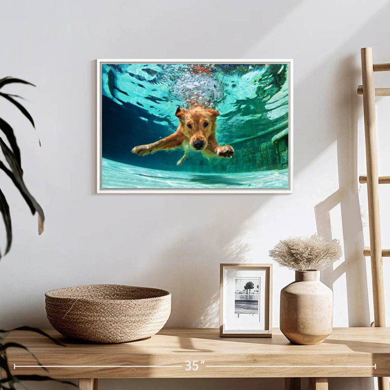 Diving Golden Retriever, Floating Frame White, 19" X 13"