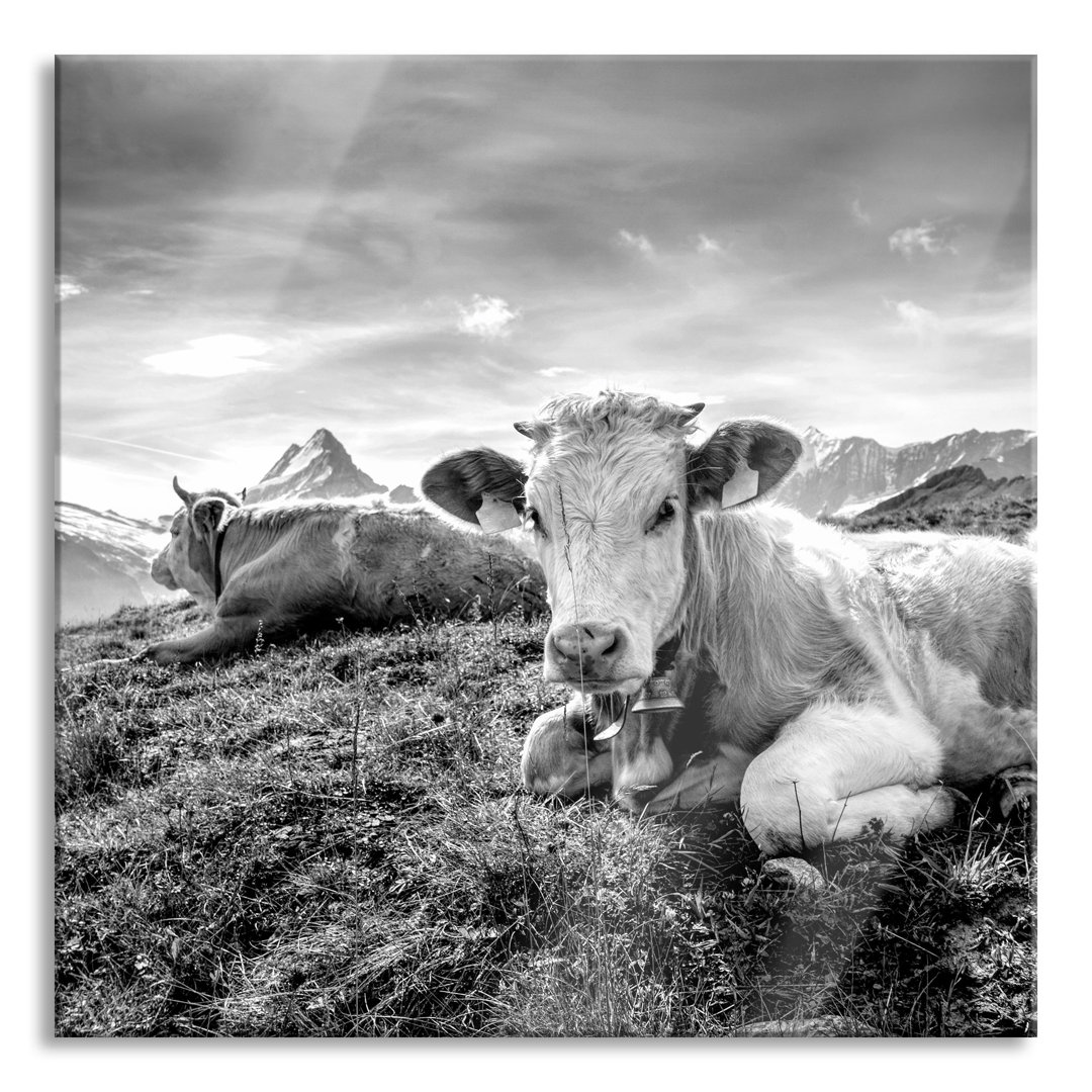 Ungerahmter Grafikdruck auf Glas "Simmental-Kühe vor den Schweizer Alpen"