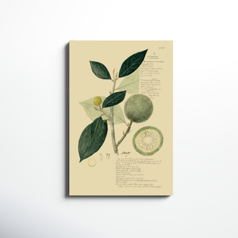 «Descubes Tropical Fruits I», peinture sur toile, H 36 po x l 24 po