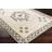 Jhanya Oriental Indoor Rug-1535151761
