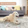 Machine Washable Area Rugs For Living Room Non-Slip Backing Foldable Boho Floral Carpet Rugs