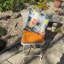 Garden Seat Cushion-34139840