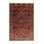 Machine Washable Persian Brown Area Rug