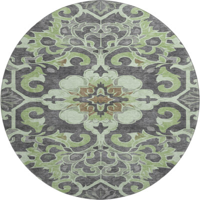 Premium Machine Washable Ralston AMF1947 Global Rug