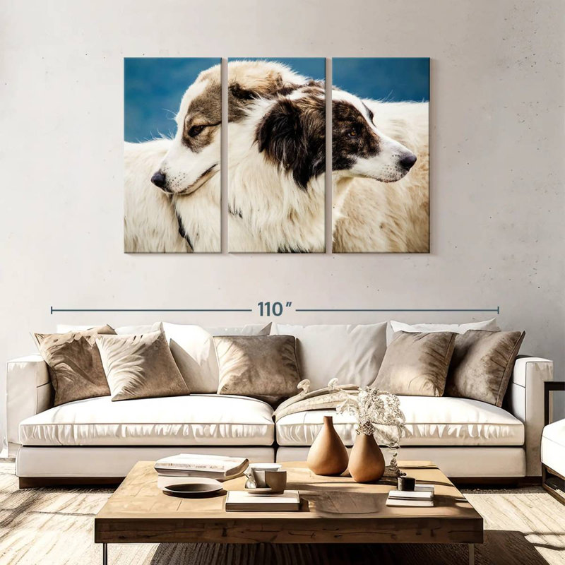 Brampt Australian Shepherd Dogs, 48" H x 74" W