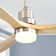 Ceiling Fan with LED Lights