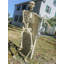 Figurine squelette posable