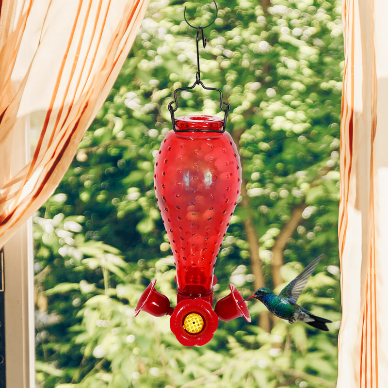 Nishath Glass Hanging Hummingbird Feeder
