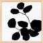 Modern Botanical 5 Print by Lee Lessem-453348004-453348008