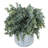 Artificial Eucalyptus Plant in Geometric Pot