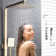 Ahmet Mixer Shower with Adjustable Shower Head