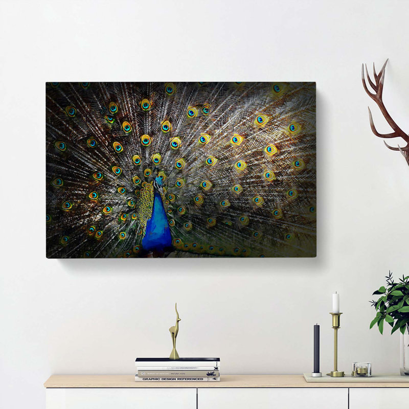 Peacock With Outstretched Feathers - Wrapped Canvas, 35cm H x 50cm W x 3cm D