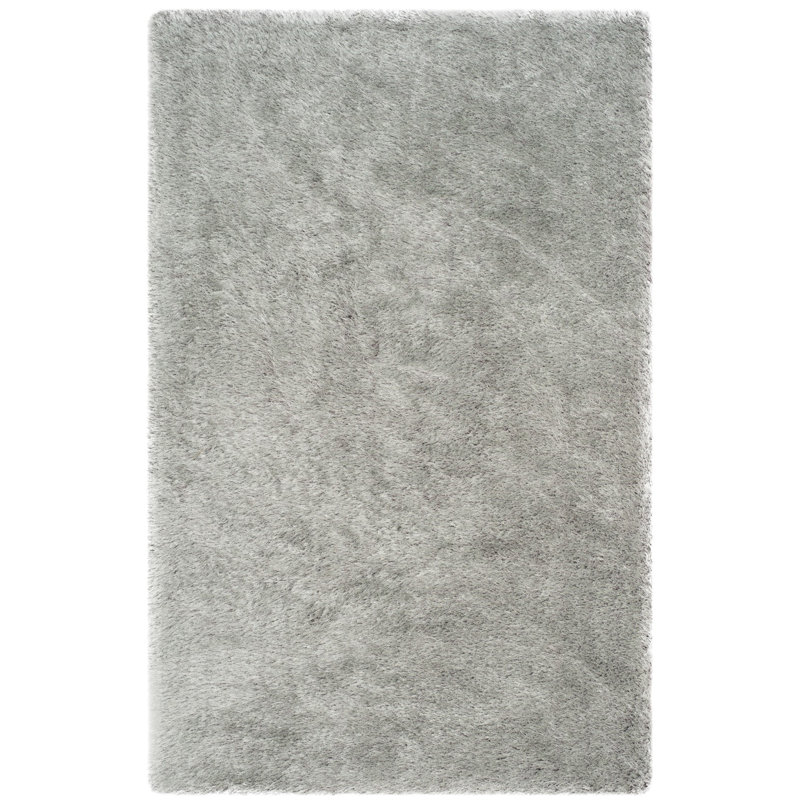 Tapis argenté à poils longs Addalee, Rectangle 5 pi x 8 pi