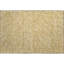 Tapis de qualité supérieure lavable à la machine Colmenero AMF1021-2090906524