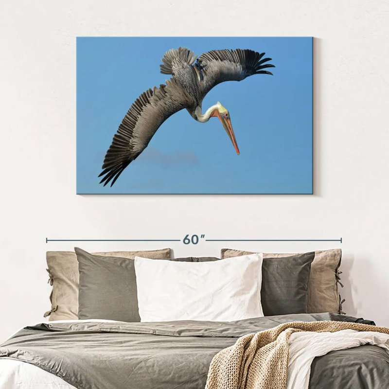 Crowle Pelican In The Air