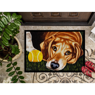 Non-Slip Outdoor Doormat