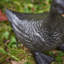 Animals Metal Garden Statue