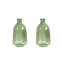 Ensemble de 2 vases en verre vert clair Rosecliff Heights