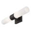 Cailum 2 Light Frosted Dimmable Vanity Light-2136842727