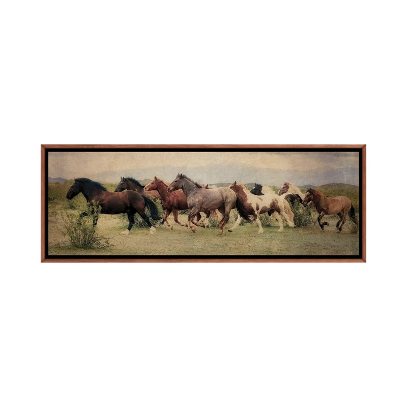 A Run Through The Desert by Rhonda Thompson - Floater Frame Panoramic Gallery-Wrapped Canvas Giclée on Canvas