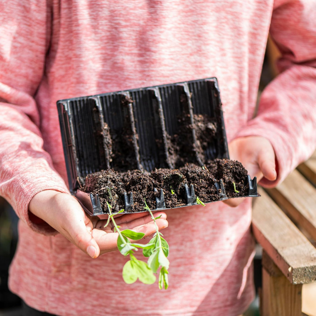 Planter