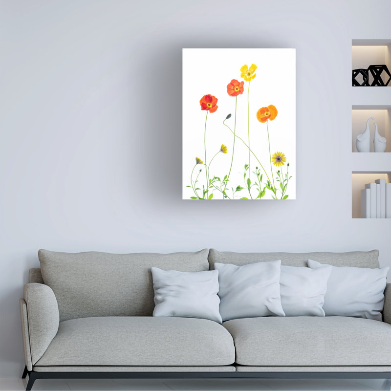 Modern & Contemporary, 24" H x 18" W x 2" D