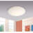 Pryor Glass Flush Mount