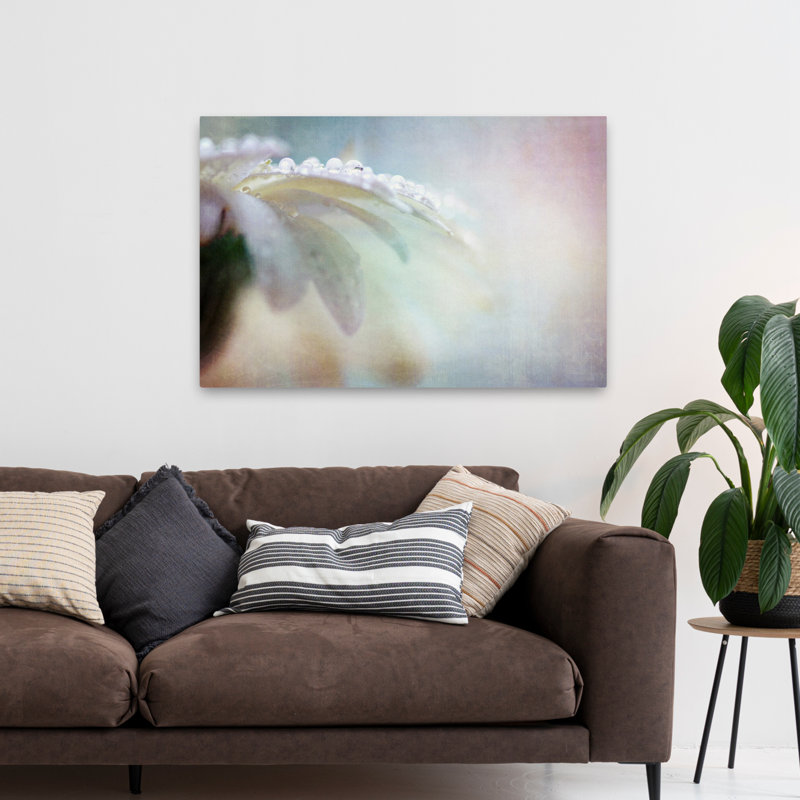 Plantes, fleurs, paysage, nature, marguerites, H 32 po x l 48 po