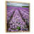 Cadre naturel flottant