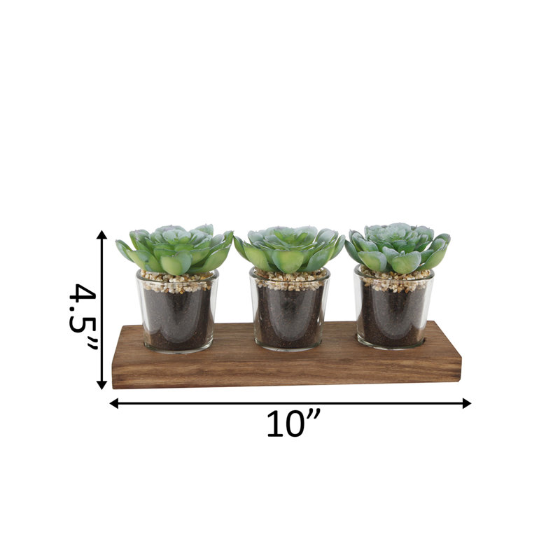 5'' Faux Succulent Plant in Glass Pot