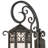 Caprice Wrought Iron Armed Sconce