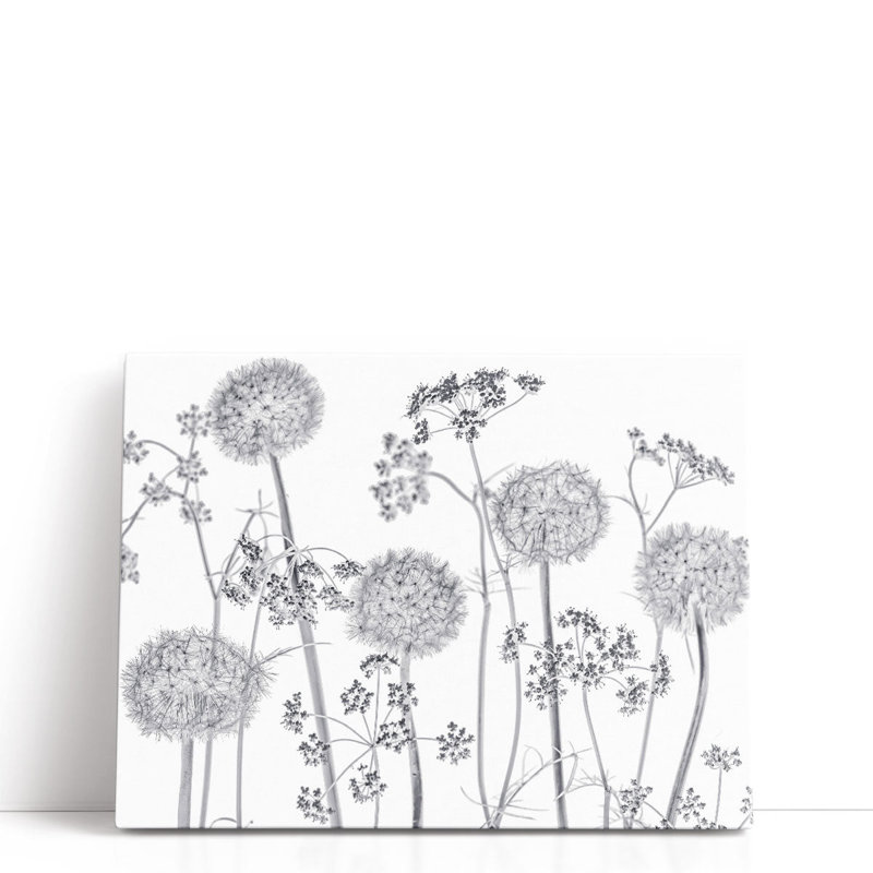 «Meadow Flowers On White», reproduction d'art sur toile, H 36 po x l 48 po
