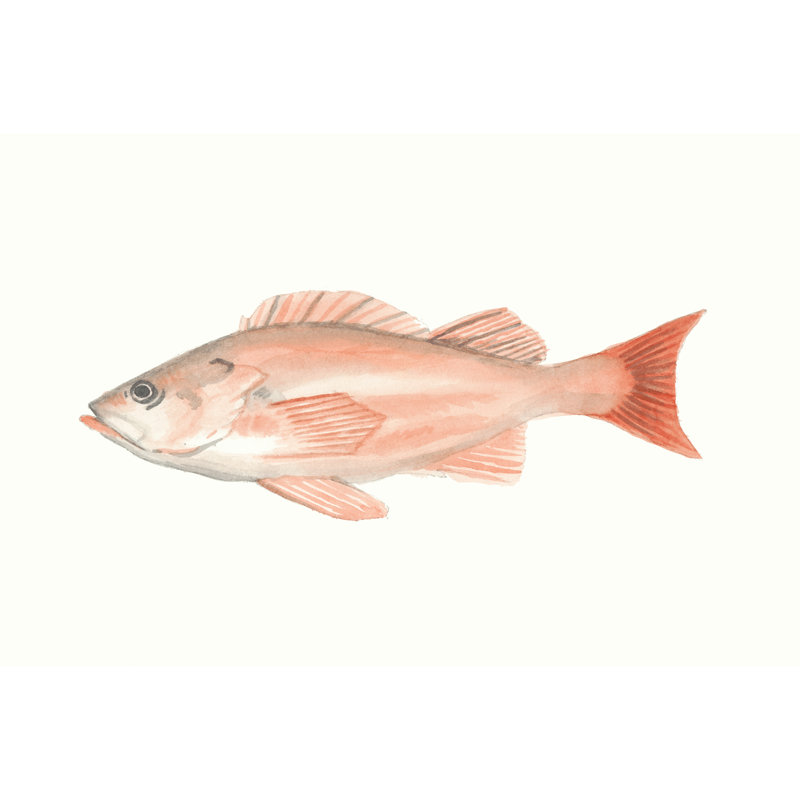 Watercolor Deep Sea Fish I, 30cm H x 46cm W