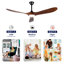 Ventilateur de plafond discret en bois massif avec éclairage DEL et télécommande-1364771473-1364771483-1364771486