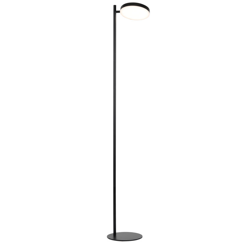 Patpong 60.5'' LED Task Floor Lamp, Matte Black